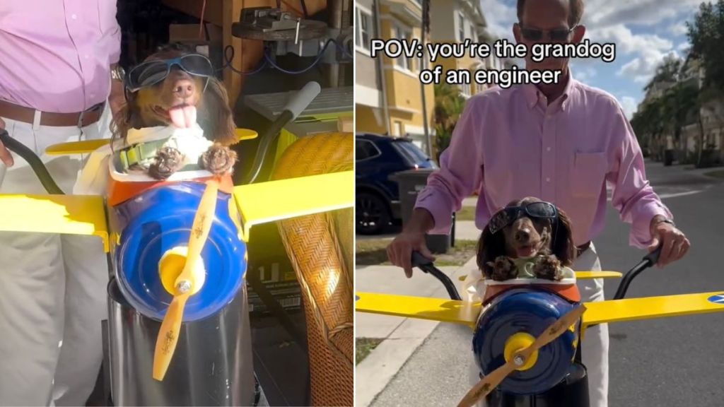 Video: Grandpa Makes a Tiny Airplane Bike Seat for His Dog, and It’s Pure Joy