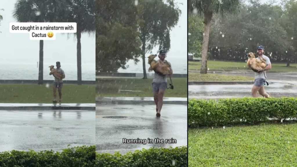 Video Shows What Happened When Rescue Pup & Owner Got Caught in the Rain