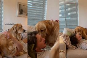 Video: Golden Retriever Proves 'Dog Ownership Is Humbling'