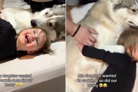 Video of Husky Cuddling With a Kid Will Make Your Day