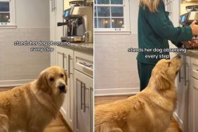 Video: Dog Observes Every Step of Mom Making Morning Latte