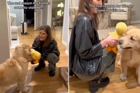 Video: Dog Mom Reveals Real Reason Friends Come To Visit Her