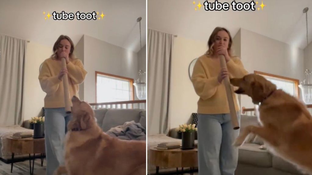 Golden Retriever Gets Zoomies When Owner Plays 'Tube Toot'