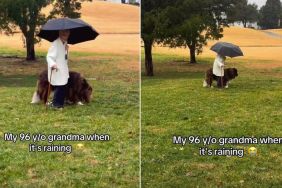 Video: Big Dog Gets Special Privileges During Rain When Grandma Is Around