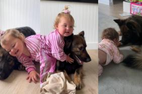 Video: Dog Is Extra Sweet to Little Girl as She Learns Gentle Touches