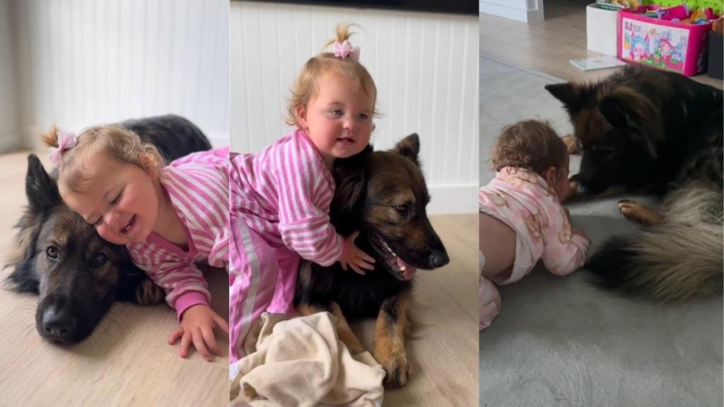 Video: Dog Is Extra Sweet to Little Girl as She Learns Gentle Touches