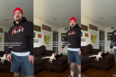 Owner Says Dog's Battery Is Dead & Internet Has Hilarious Responses