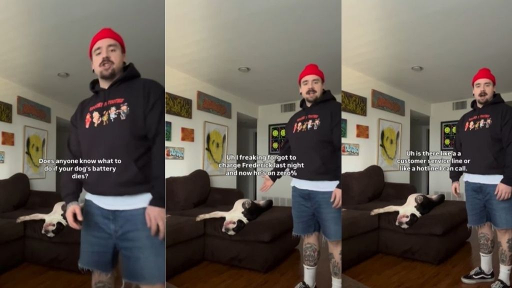 Owner Says Dog's Battery Is Dead & Internet Has Hilarious Responses