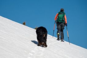 Video Captures Skier & Her Dog Brave an Avalanche
