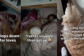 Golden Retriever Tries to Wake the Kids — Ends Up Snuggling Instead