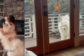 Video: Dog Begins the Day With a 'Morning Hug'