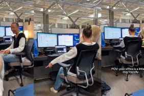 Video Shows What Happens When Work Space Is a Little Too Dog Friendly
