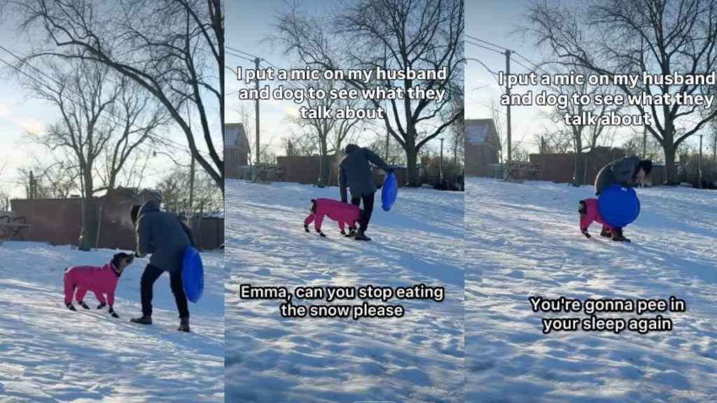 Video: Dog & Dad's Sledding Game Ends Hilariously