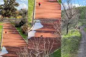 Video: Dog Does This When Mom Calls Him From the Top of a Hill