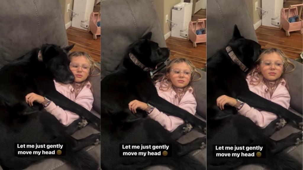 Video: Dog Adjusts His Head Carefully So He Doesn’t Disturb the Kid He’s Cuddling