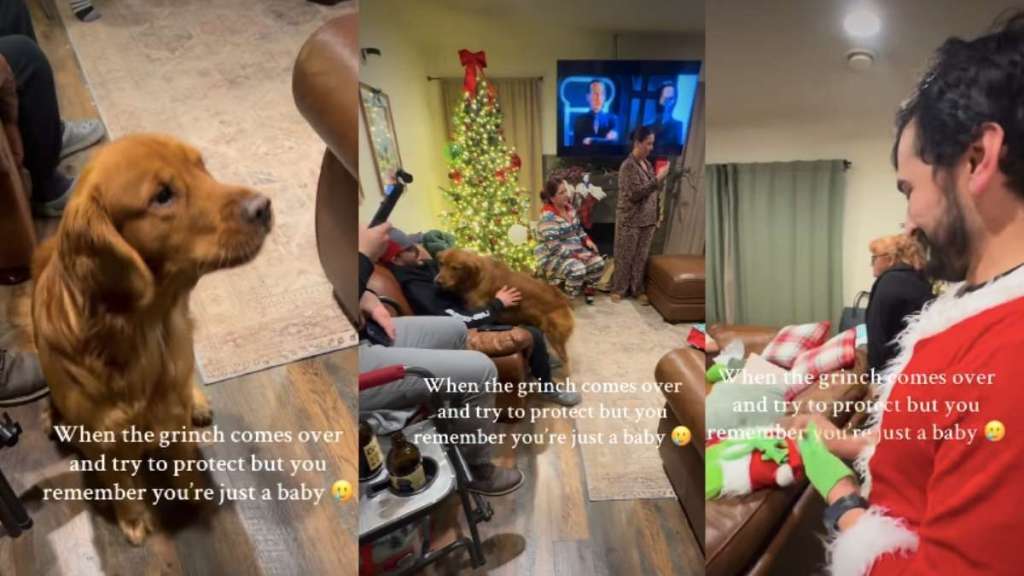 Video: Golden Retriever Becomes a 'Baby' When Grinch Comes Over