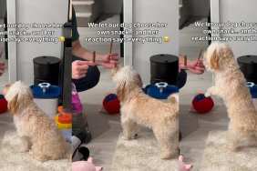 Video: Dog Reacts to Owner Letting Her Choose Her Own Snack