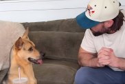 Rescue Puppy Faces 'Toughest Challenge' of His Life in Adorable Video