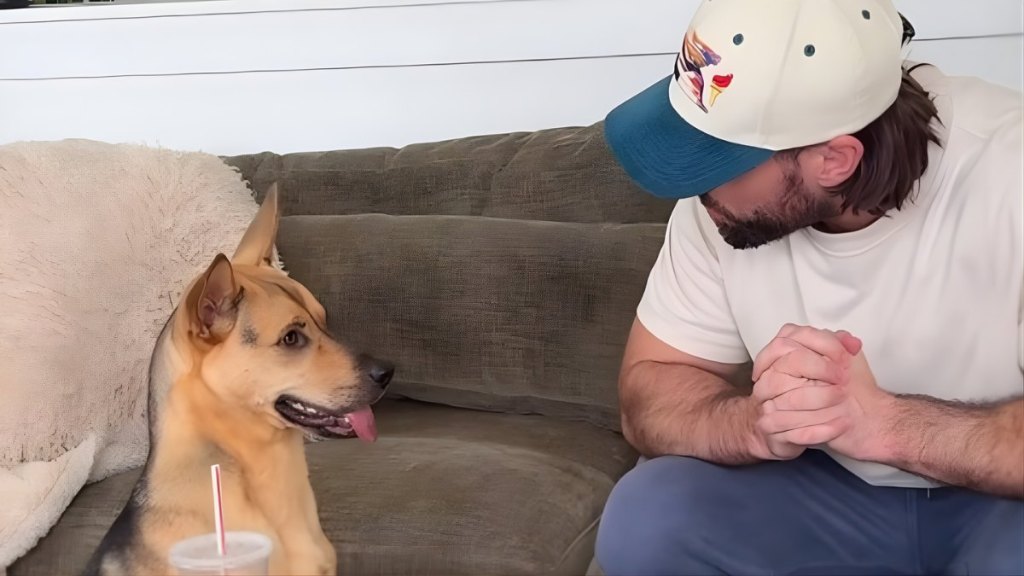 Rescue Puppy Faces 'Toughest Challenge' of His Life in Adorable Video