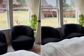 Video: Dog Thwarts Owner's Efforts to Get More Sleep Time