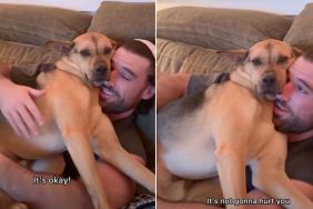 Rescue Puppy Reacts After a Candle Is Lit in Adorable Video