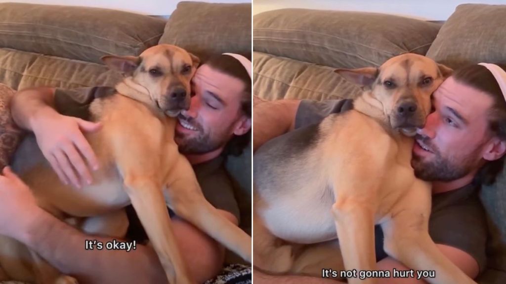 Rescue Puppy Reacts After a Candle Is Lit in Adorable Video