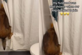 Video: Rescue Dog Joins Dad Mid-Shower & Won't Leave