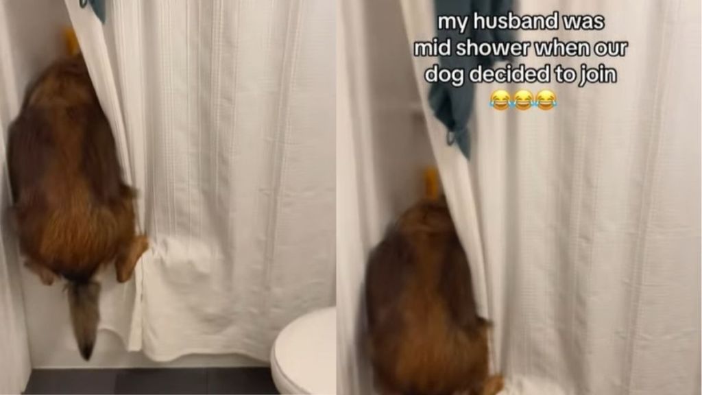 Video: Rescue Dog Joins Dad Mid-Shower & Won't Leave