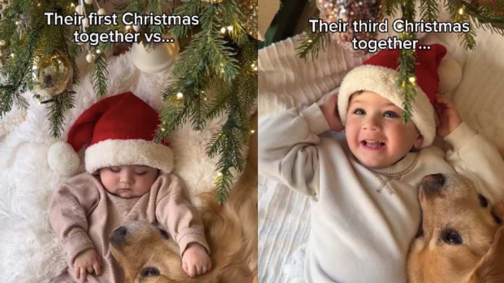Video Shows Golden Retriever’s First & Third Christmas With Little Boy