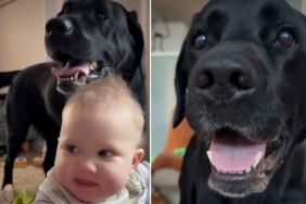 Video: Baby Makes This Noise After Learning From Dog