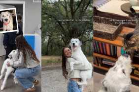 Video: Adopted Dog's First Day in New Home Is Adventurous