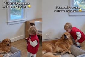 Golden Retriever & Little Boy’s Goodbye Routine Involves a Sweet Kiss