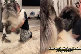 Video: Dog Insists on Group Hug After Seeing Brother Getting Love