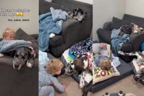 Video: Giant Dogs & Little Boy's First Slumber Party Looks Like This