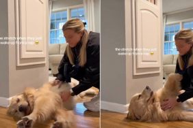 Video: Golden Retriever’s Stretch After Waking up Is 'Best'