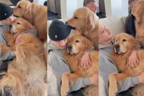 Video: Golden Retriever Is an Expert Hat Thief but With a Little Help