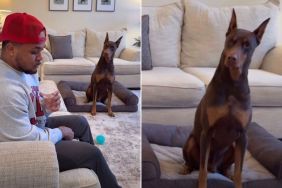 Dog Is 'Mad' at Owner for Luring Him to the Vet in Hilarious Video