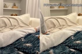 Video: Puppy Being Sneaky in Her 'Land Shark' Phase Amuses Everyone