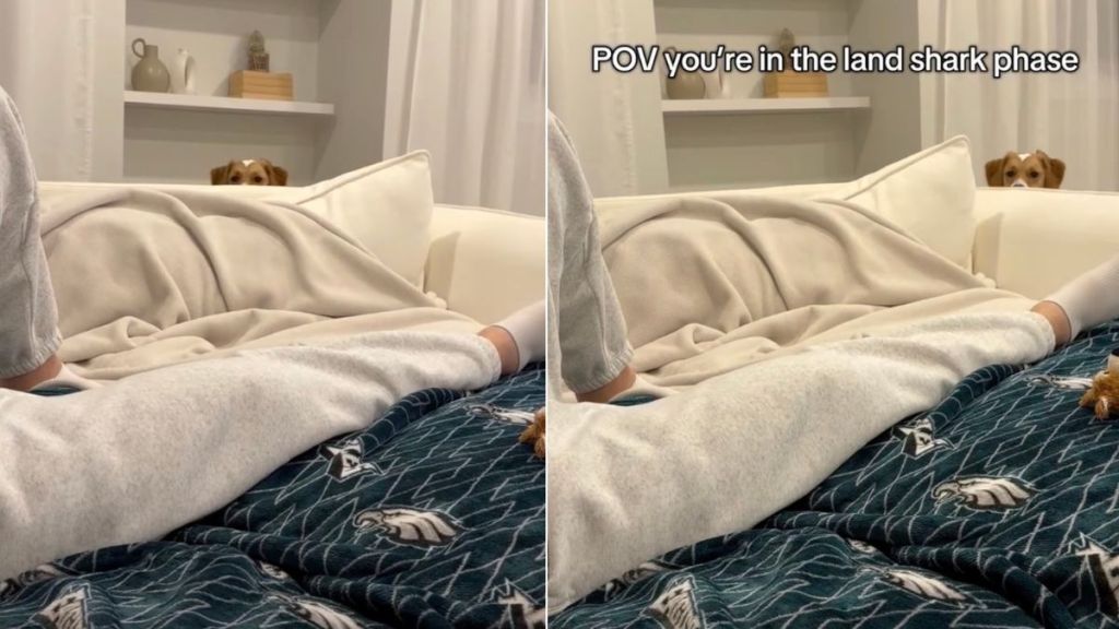 Video: Puppy Being Sneaky in Her 'Land Shark' Phase Amuses Everyone