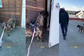 Video: Dog Just Won't Go Out Unless the Whole Family Comes Along