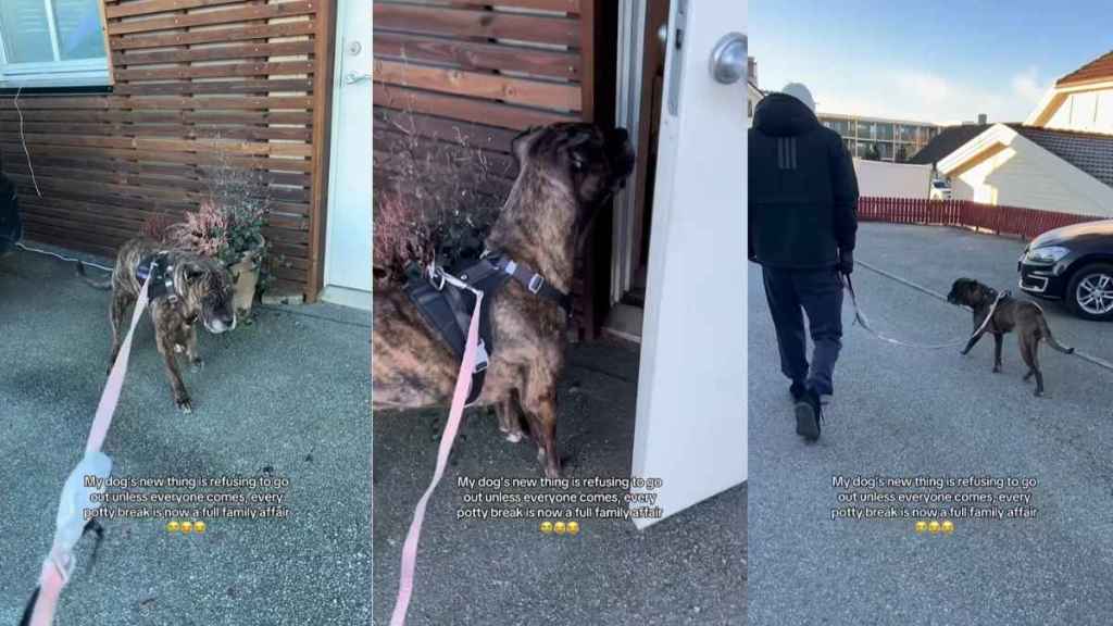Video: Dog Just Won't Go Out Unless the Whole Family Comes Along
