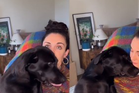 Video: Dog Hops Into Mom’s Lap Like a Little Baby for Cuddles & Kisses