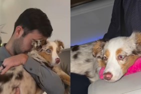 Video Shows This Dog’s Very Specific Needs & Habits