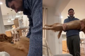 Video: Golden Retriever Surprises Parents With a 'BIG' Stretch
