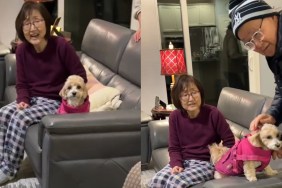 Video: Dog Sits Still When It's Time to Leave Grandparents' Home