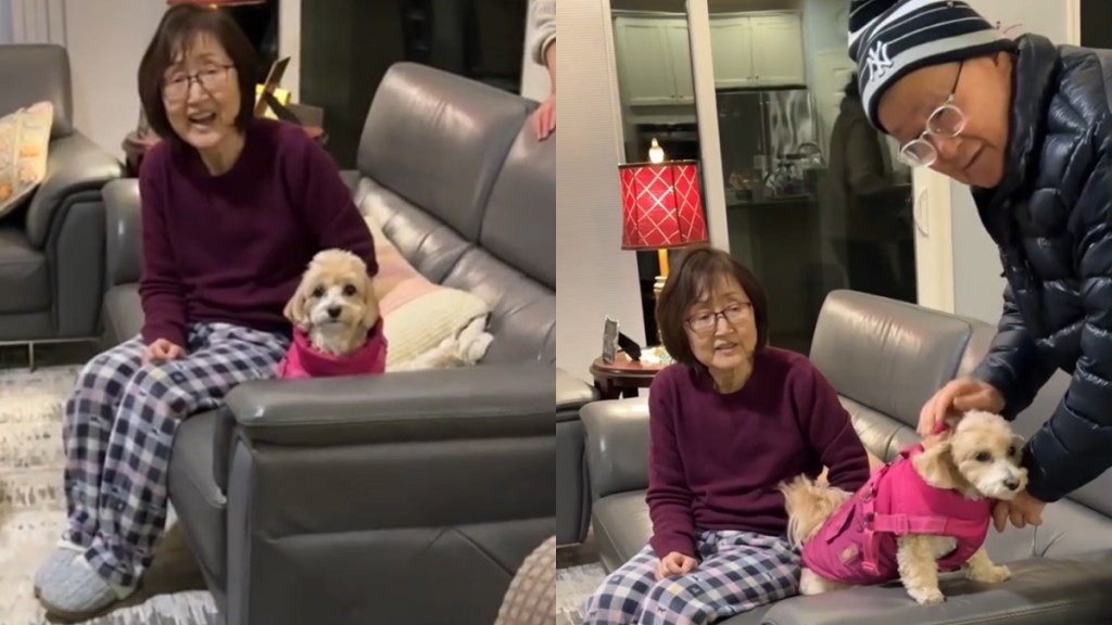Video: Dog Sits Still When It's Time to Leave Grandparents' Home