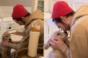 Video of Golden Retriever Puppy Falling in Love With Dad Is Everything