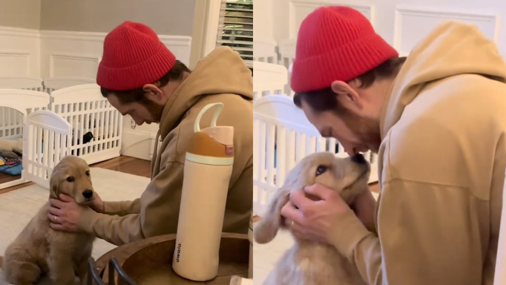 Video of Golden Retriever Puppy Falling in Love With Dad Is Everything