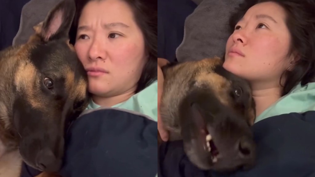 Video Confirms This Dog Is the Ultimate Whiner