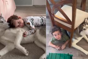 Video: Husky’s Love for Little Boy Doesn’t Need Words